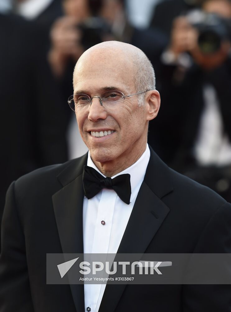70th International Cannes Film Festival. Day Three