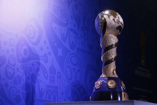 2017 Confederations Cup Park opens in St. Petersburg