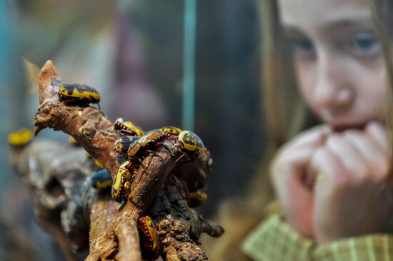 Museum Night event in Moscow