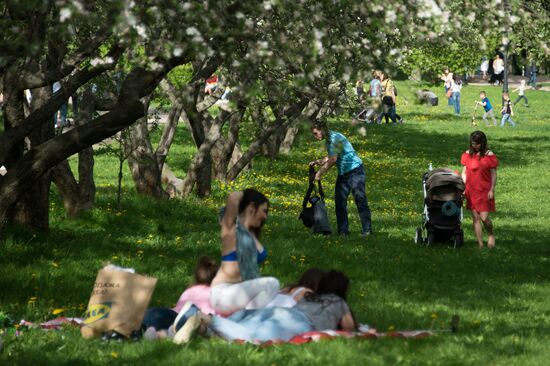 Trees start blooming in Moscow