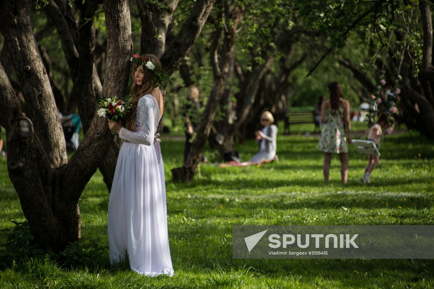Apple trees start blooming in Moscow