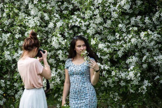 Trees start blooming in Moscow