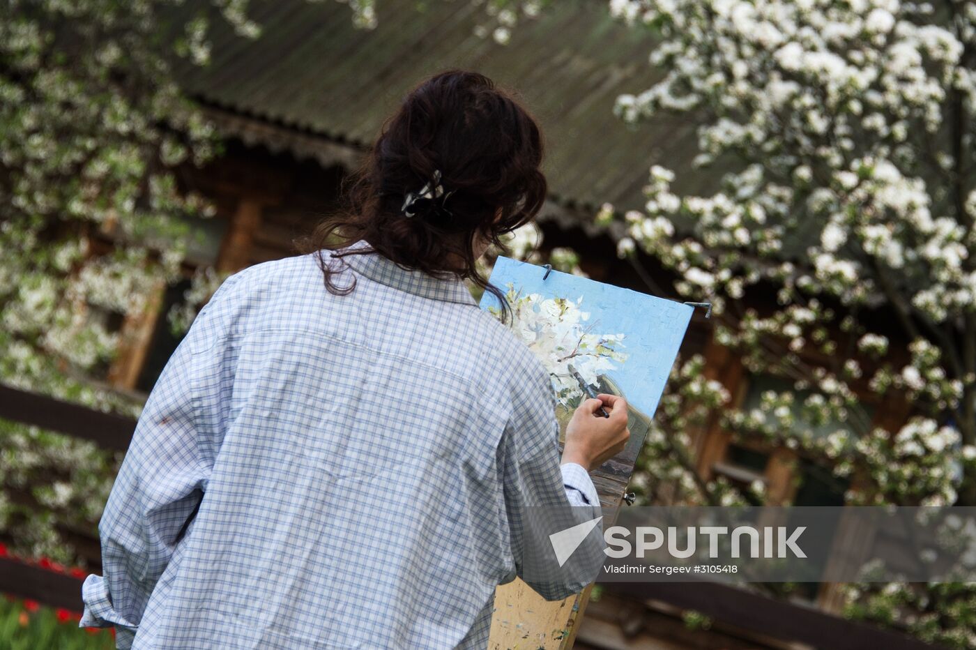 Trees start blooming in Moscow