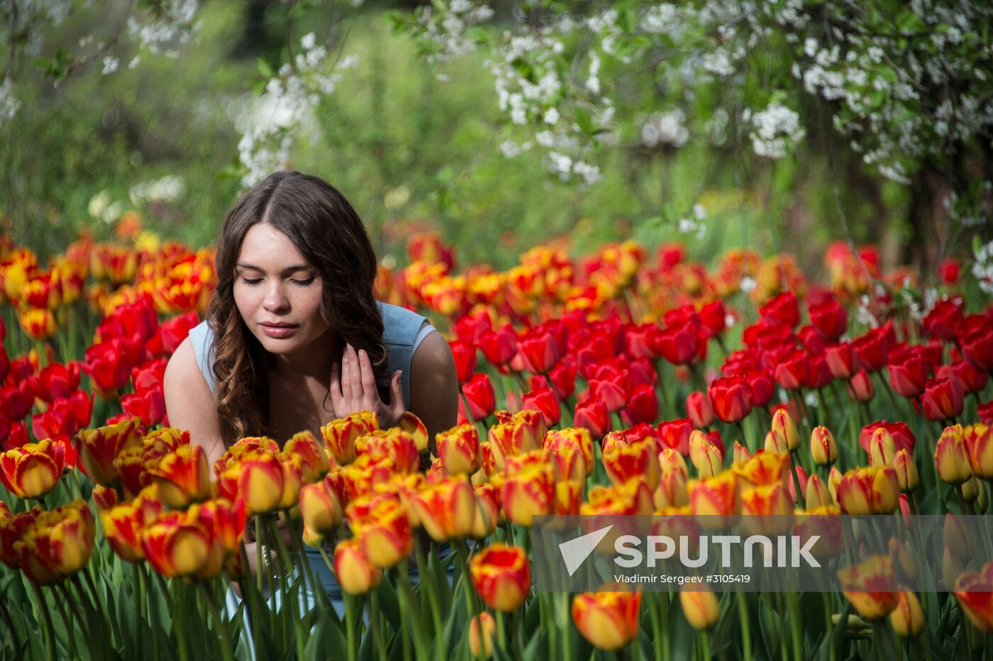 Trees start blooming in Moscow