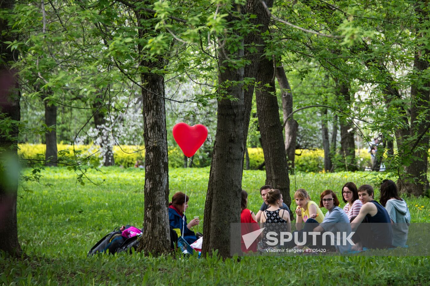 Trees start blooming in Moscow