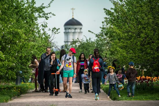 Apple trees start blooming in Moscow