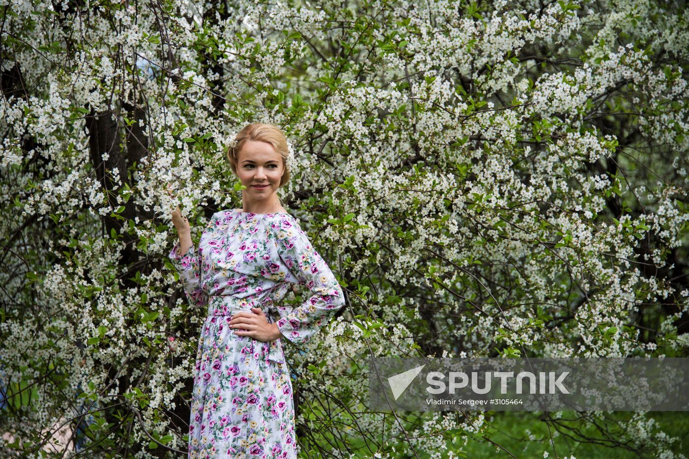 Apple trees start blooming in Moscow