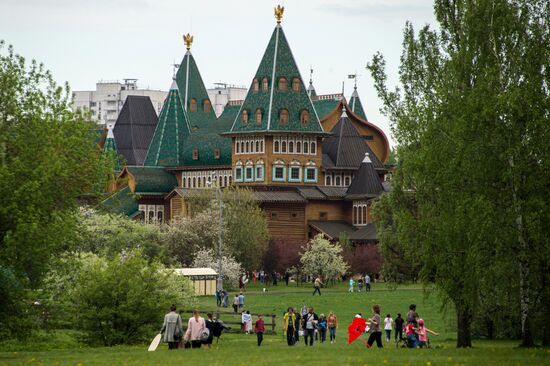 Apple trees start blooming in Moscow