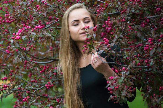 Apple trees start blooming in Moscow