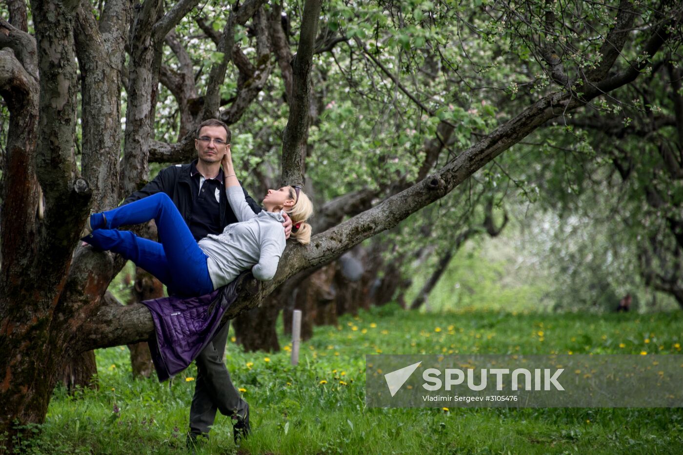 Trees start blooming in Moscow