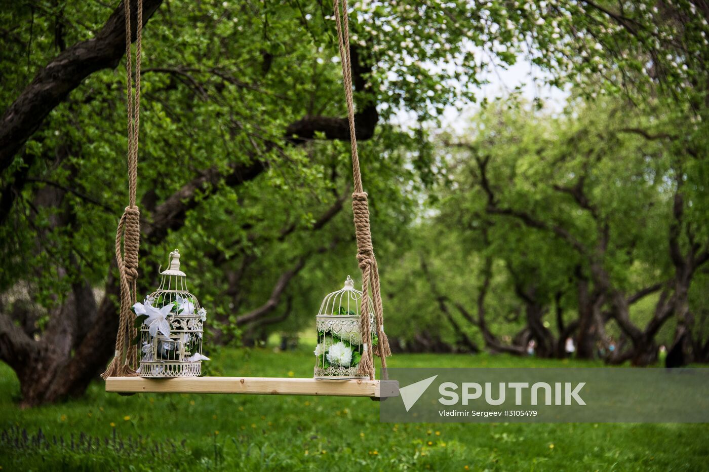 Trees start blooming in Moscow