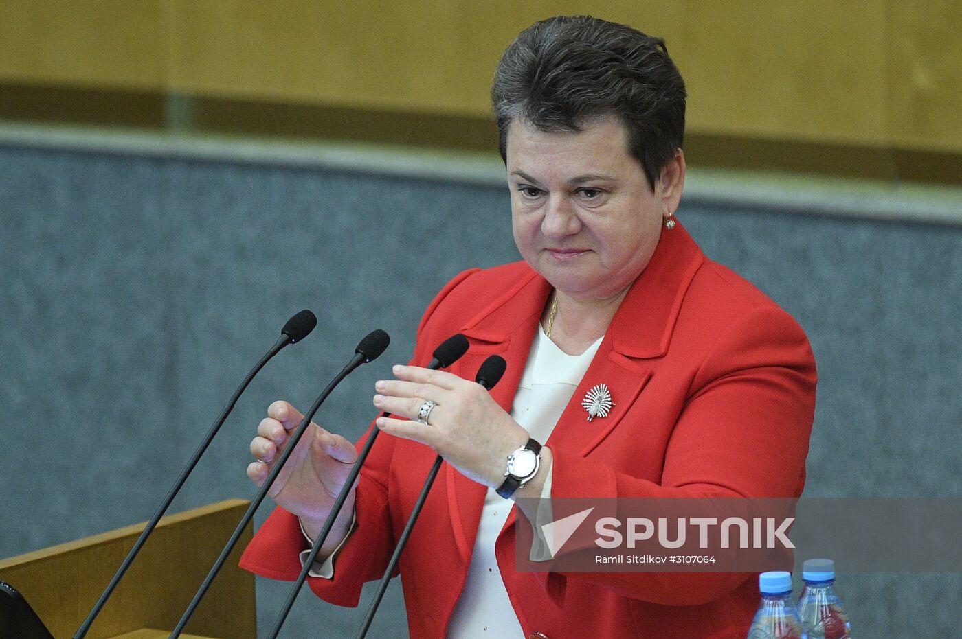 Parliamentary hearing on youth policy in Russia
