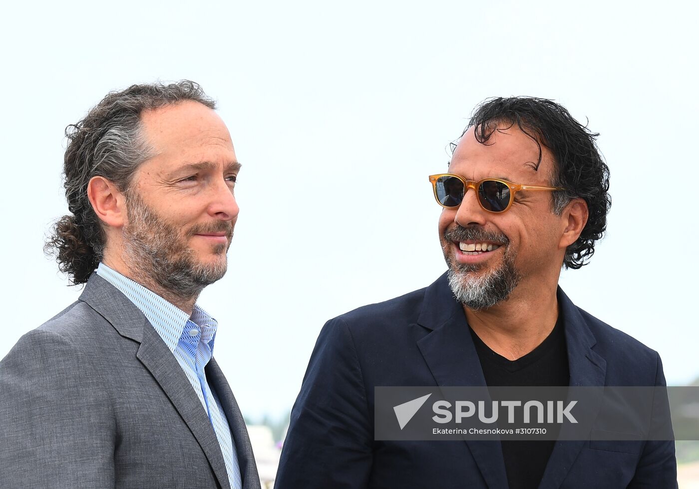 70th Cannes International Film Festival