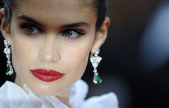 70th Cannes International Film Festival