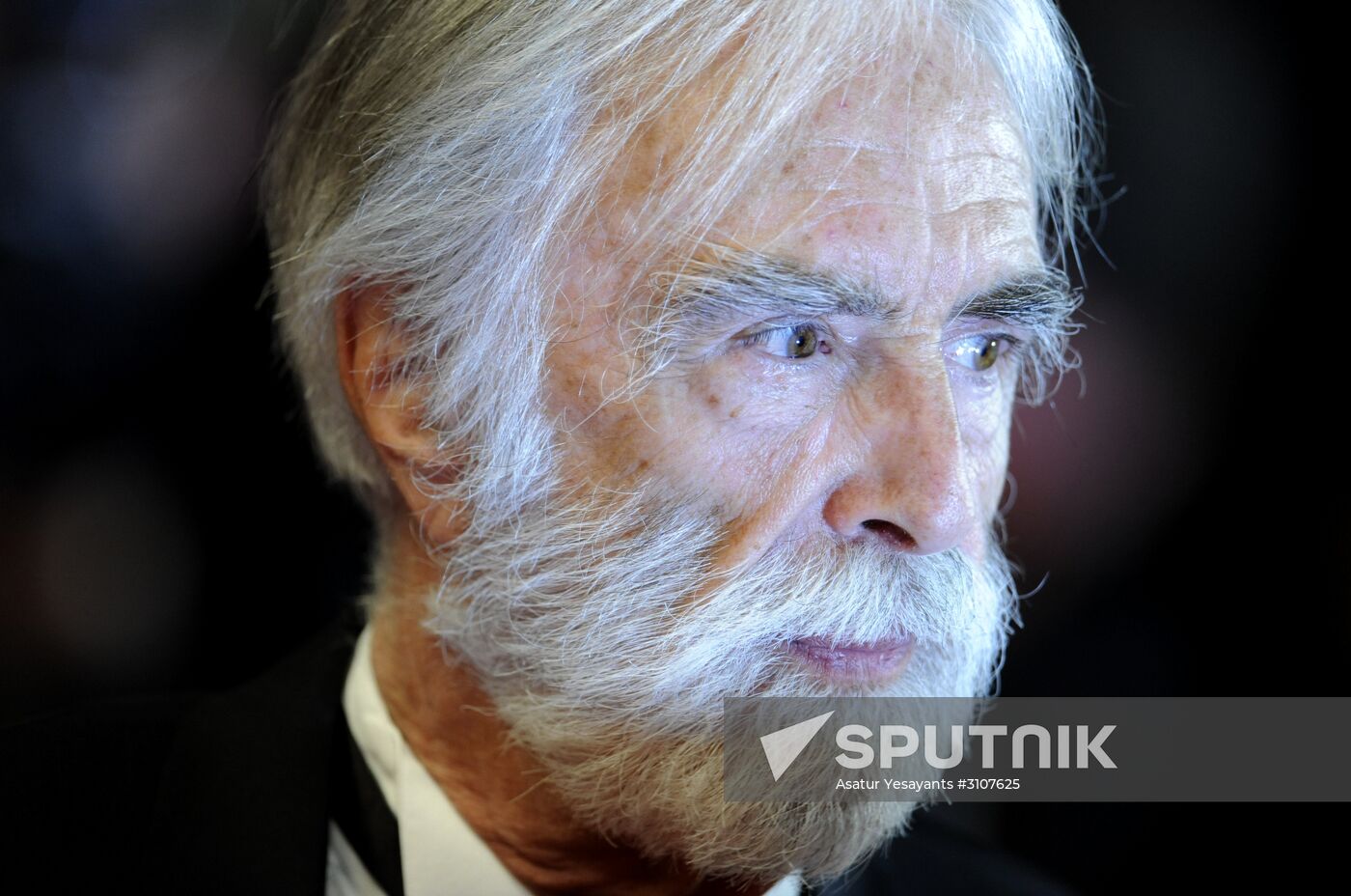 70th Cannes International Film Festival