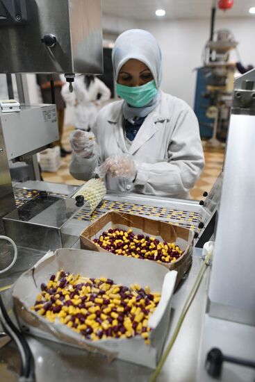 Pharmaceutical company in Bab al-Sharqi, eastern Damascus