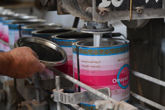 Paint factory in Damascus suburb