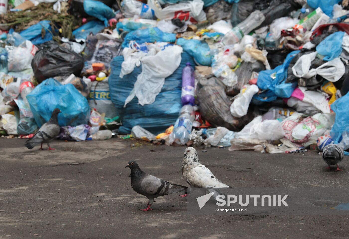 Undisposed waste in Lviv