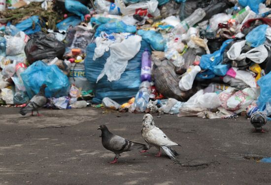 Undisposed waste in Lviv