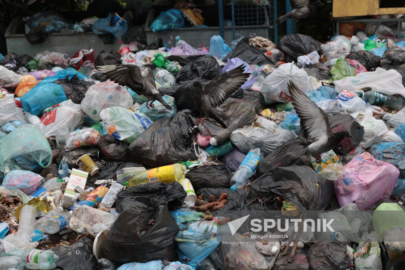 Undisposed waste in Lviv