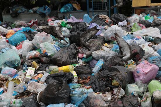 Undisposed waste in Lviv