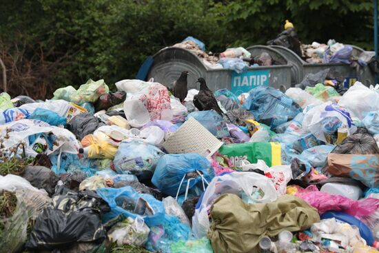 Undisposed waste in Lviv