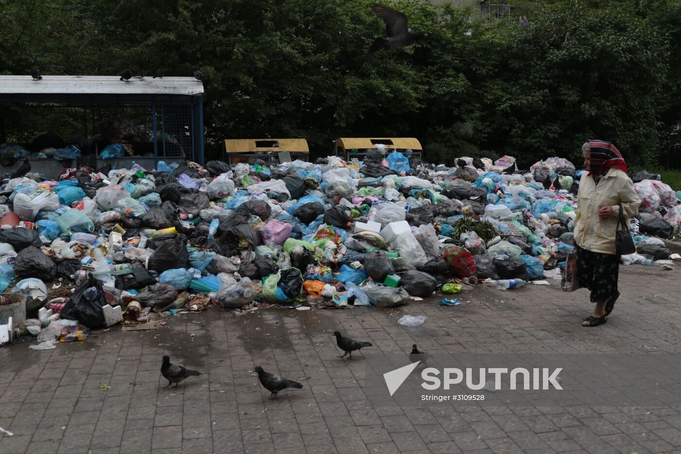 Undisposed waste in Lviv