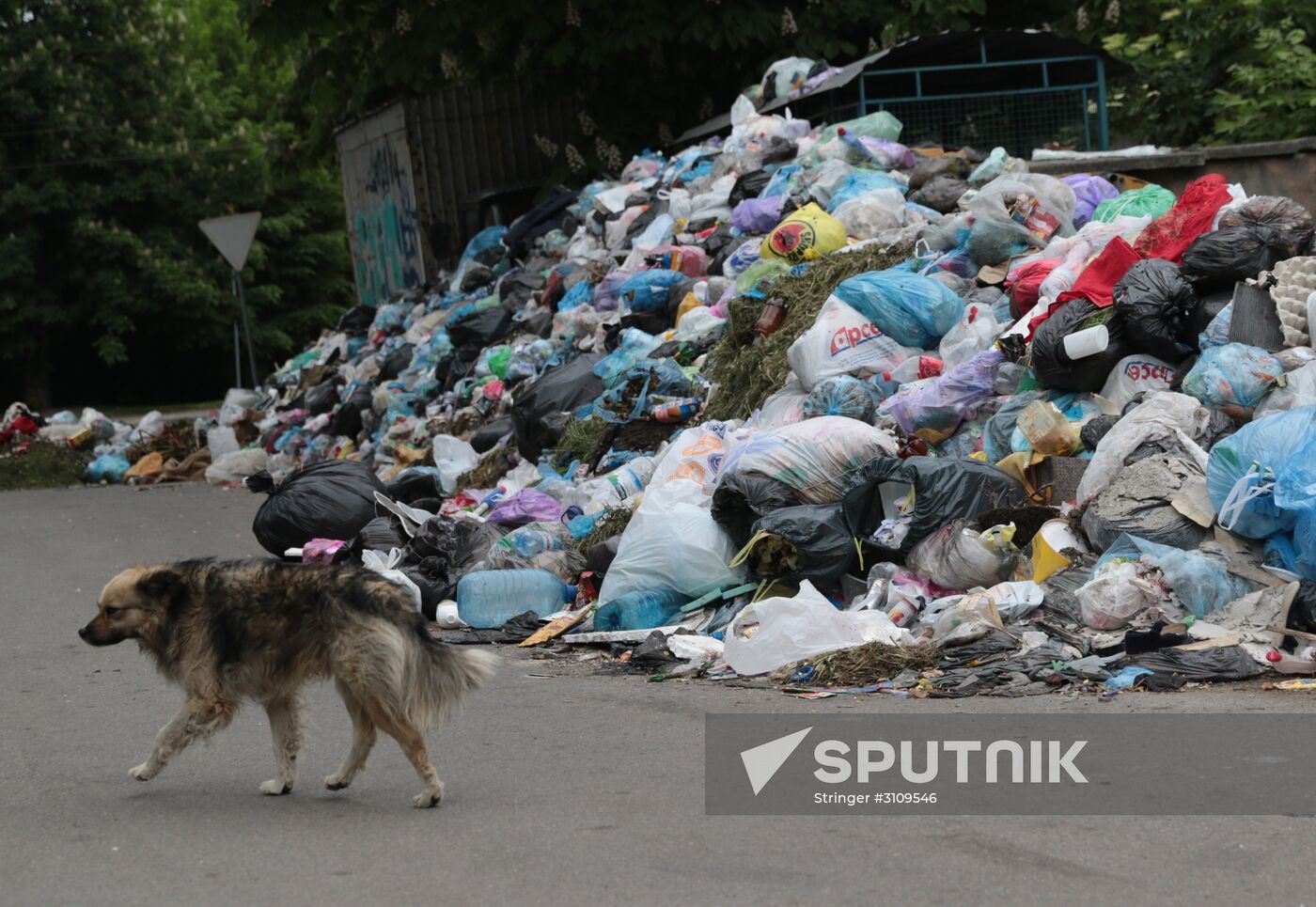 Undisposed waste in Lviv