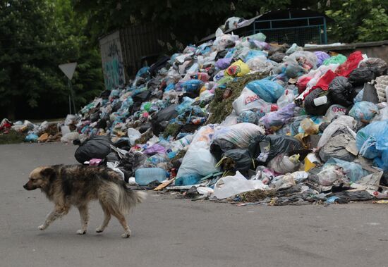 Undisposed waste in Lviv