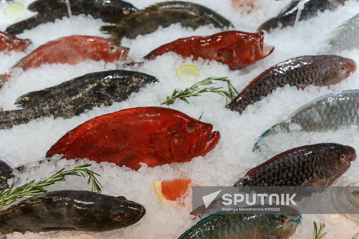 Eataly gastroboutique opens on Moscow