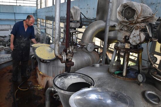 Canned food manufacturing in Damascus
