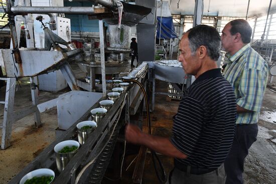 Canned food manufacturing in Damascus