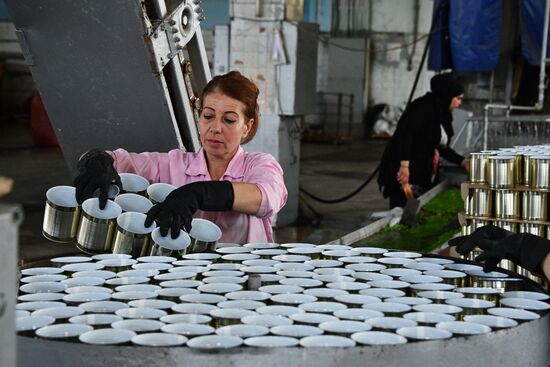Canned food manufacturing in Damascus