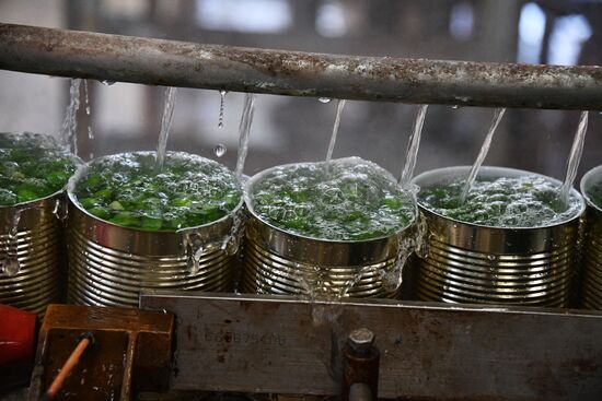 Canned food manufacturing in Damascus