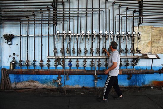 Canned food manufacturing in Damascus
