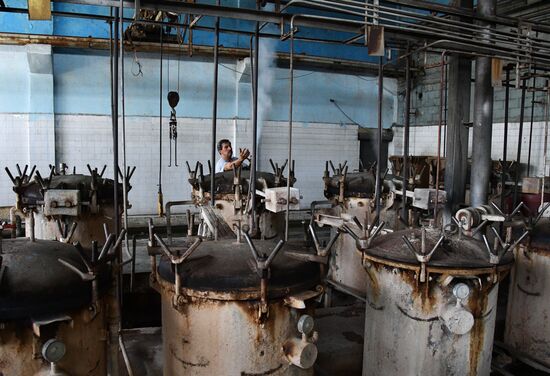 Canned food manufacturing in Damascus