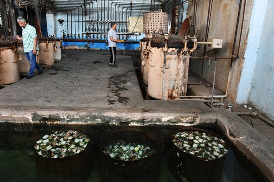 Canned food manufacturing in Damascus