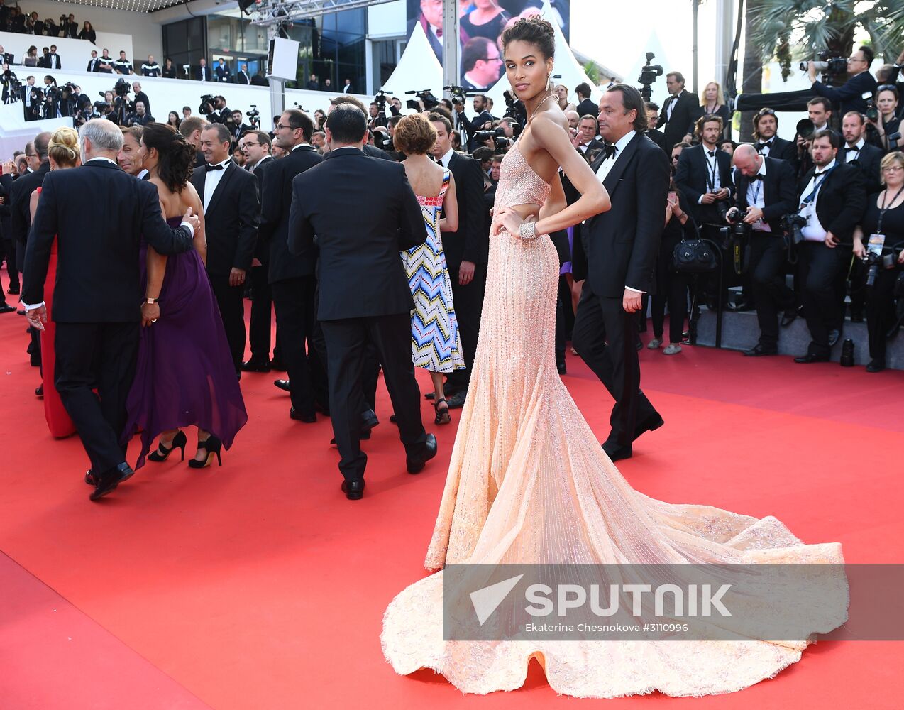 70th Cannes International Film Festival. Day eight