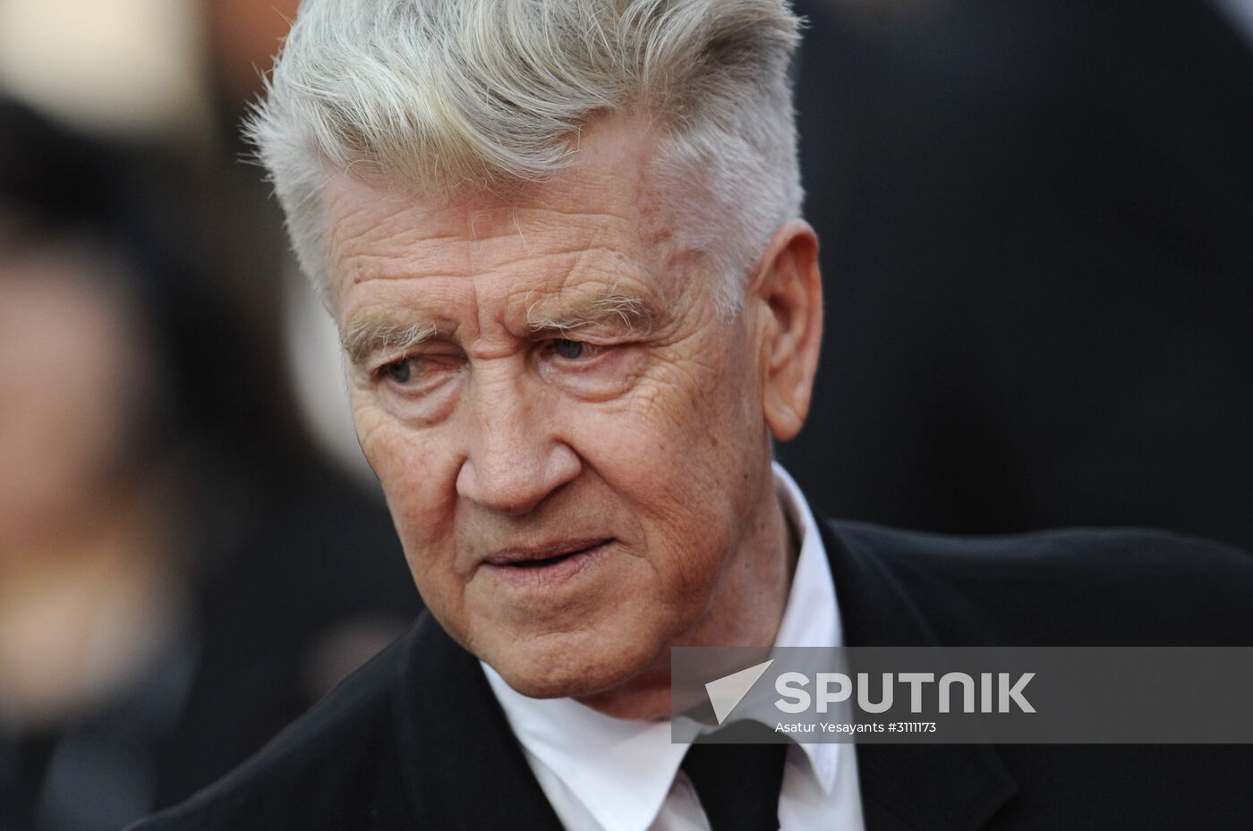 70th Cannes Film Festival. Day Nine