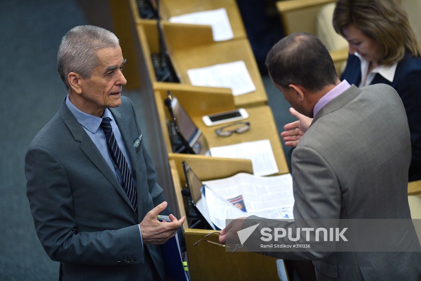 State Duma plenary meeting