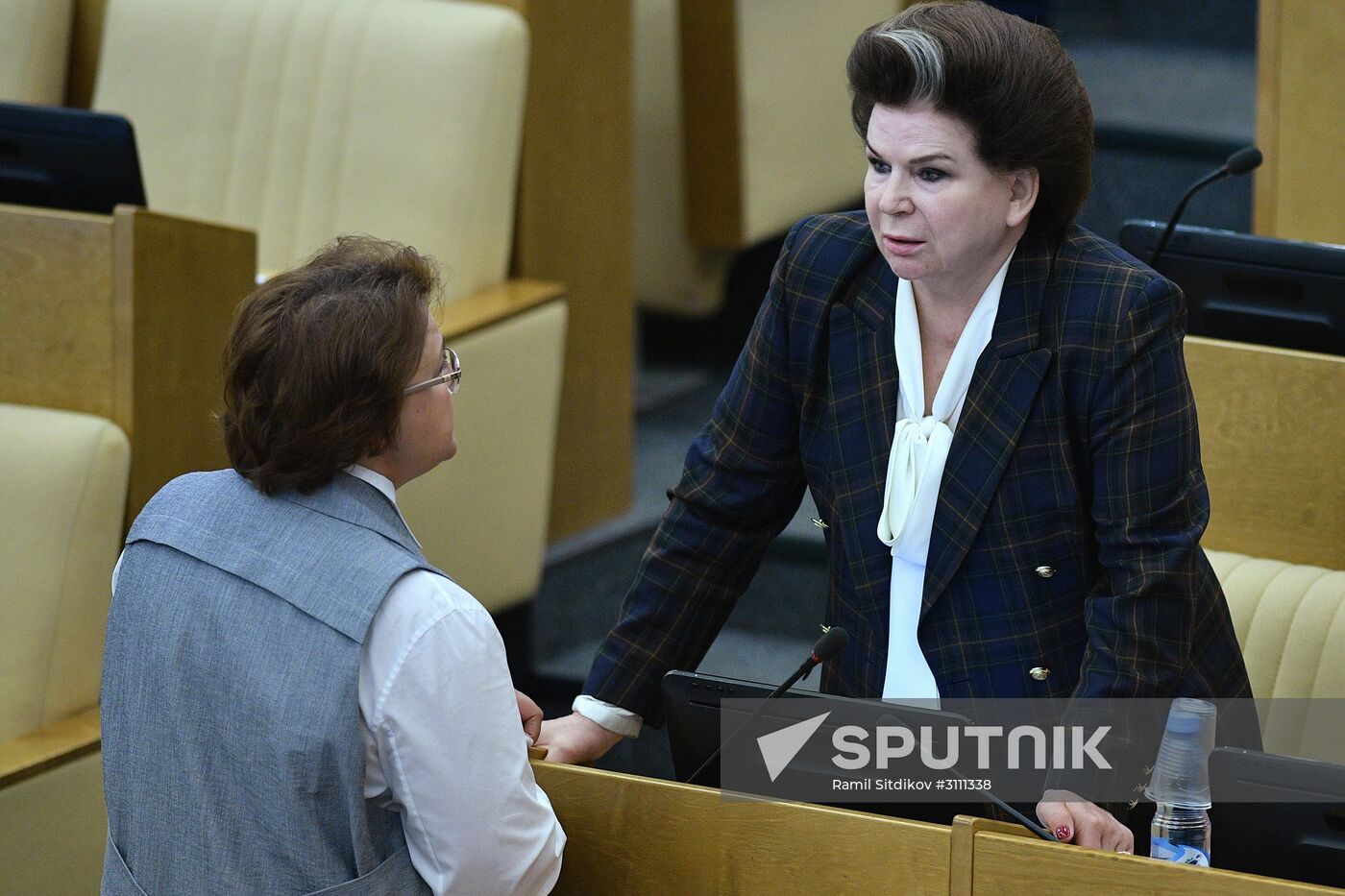 State Duma plenary meeting