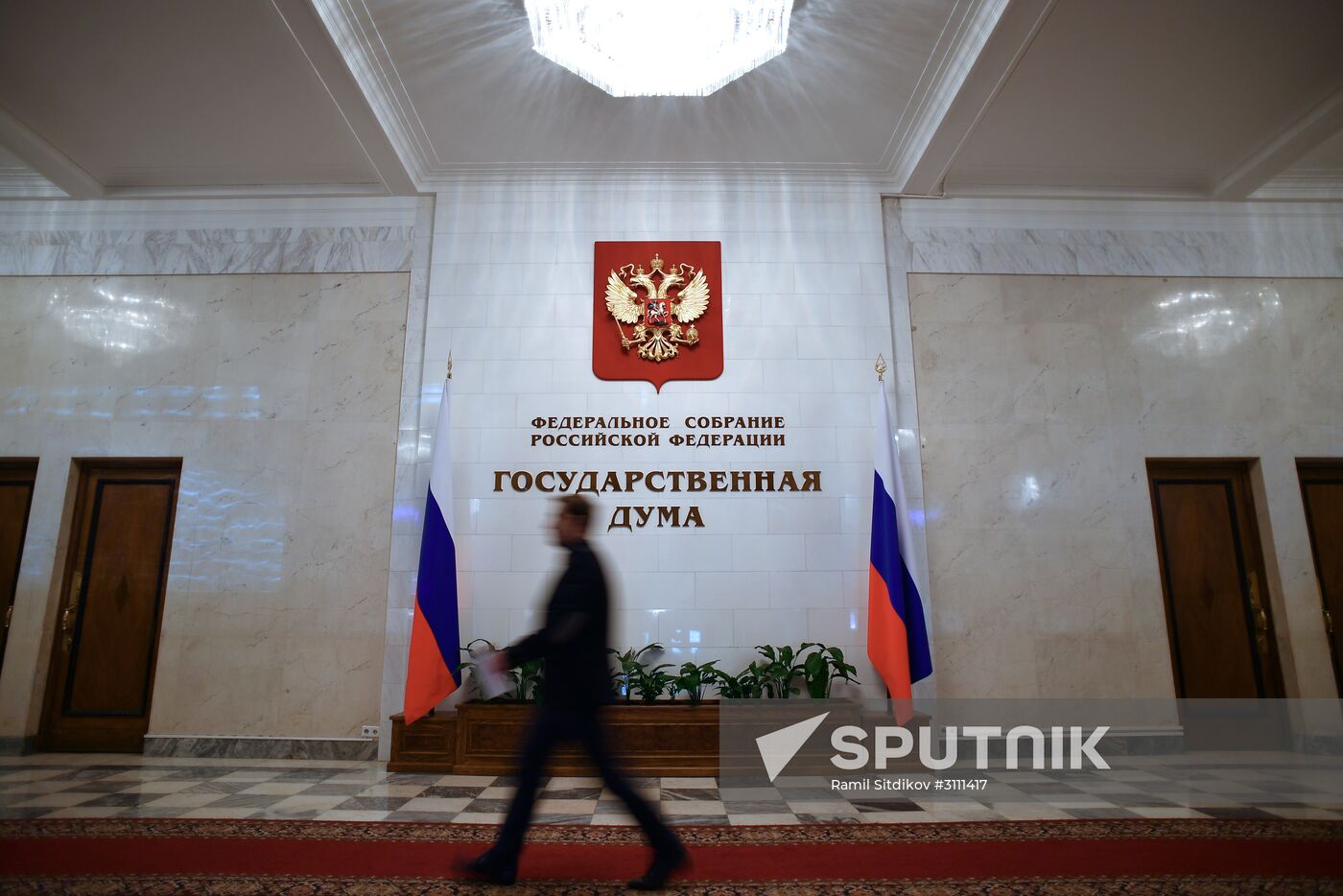 State Duma plenary meeting