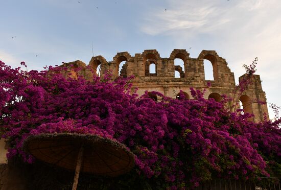 Cities of the world. El Djem