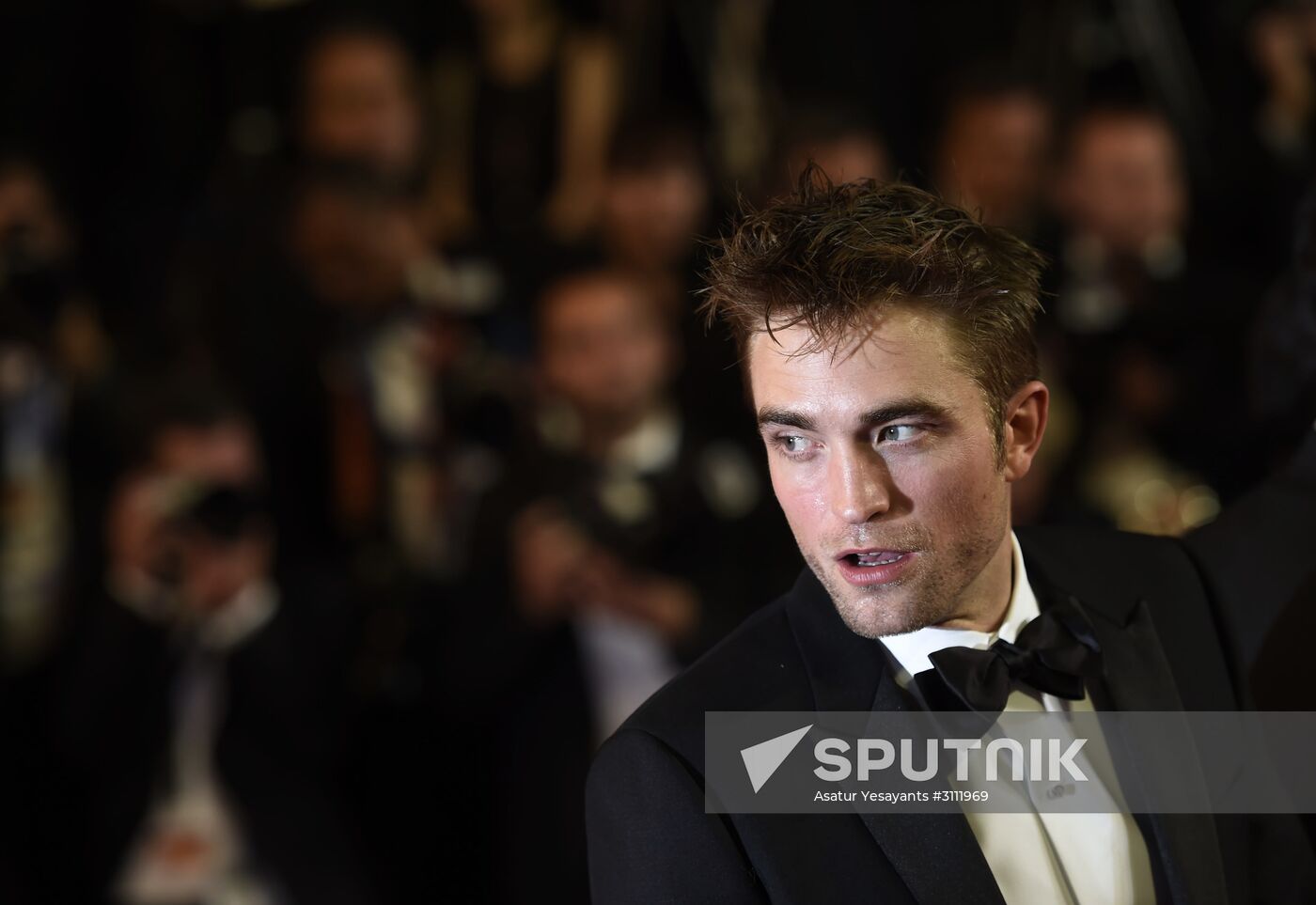 70th Cannes Film Festival. Day Nine