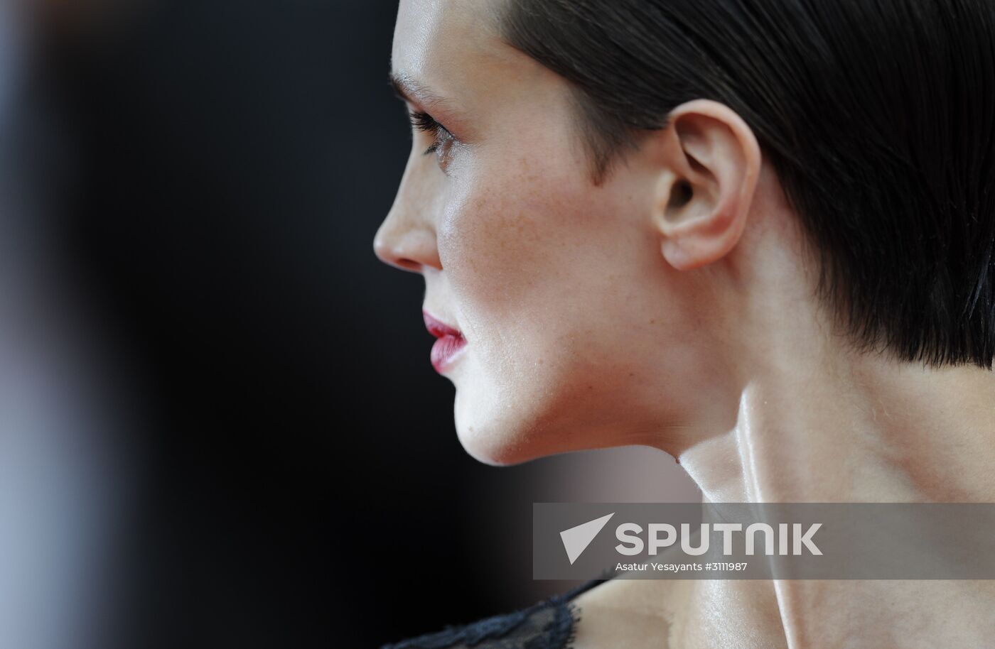 70th Cannes International Film Festival. Day ten