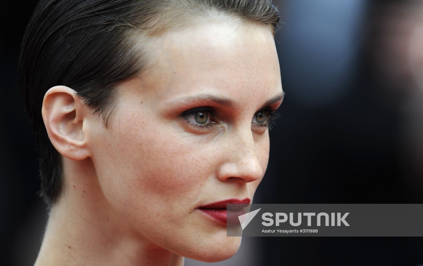 70th Cannes International Film Festival. Day ten