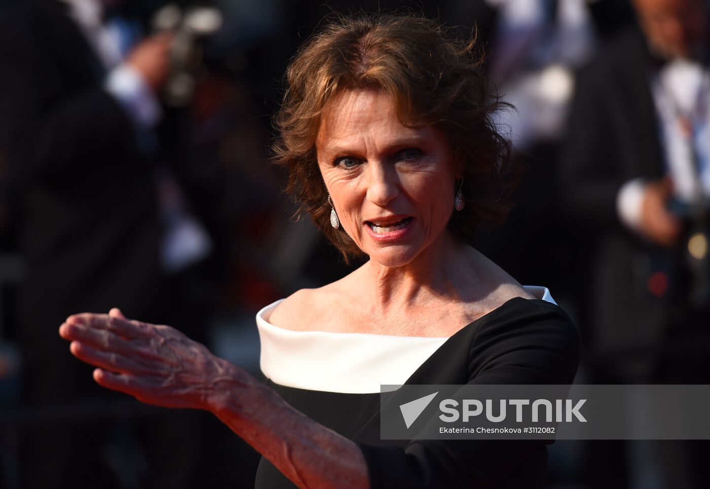 70th Cannes International Film Festival. Day ten