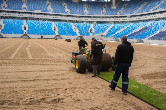 Returfing starts at St.Petersburg Arena