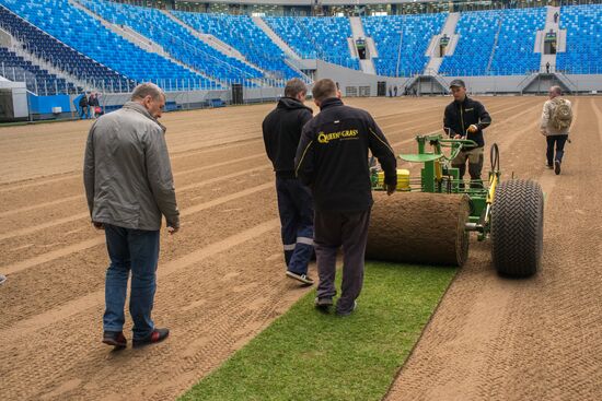 Returfing starts at St.Petersburg Arena