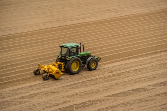 Returfing starts at St.Petersburg Arena